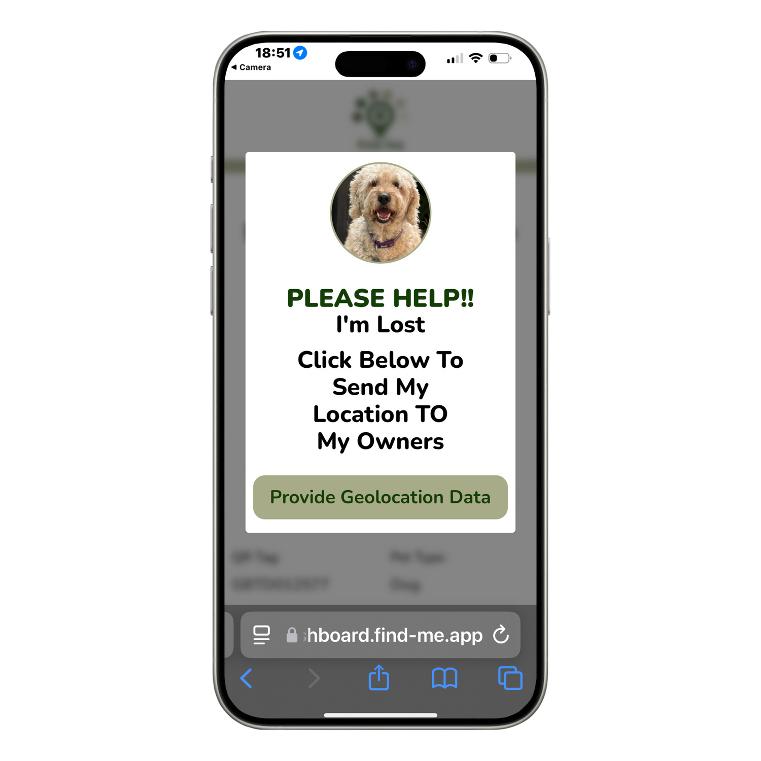 “Smartphone displaying a Find Me pet alert with the message: ‘PLEASE HELP!! I’m Lost. Click Below To Send My Location To My Owners,’ and a green button labeled ‘Provide Geolocation Data,’ shown under a photo of a lost dog.”